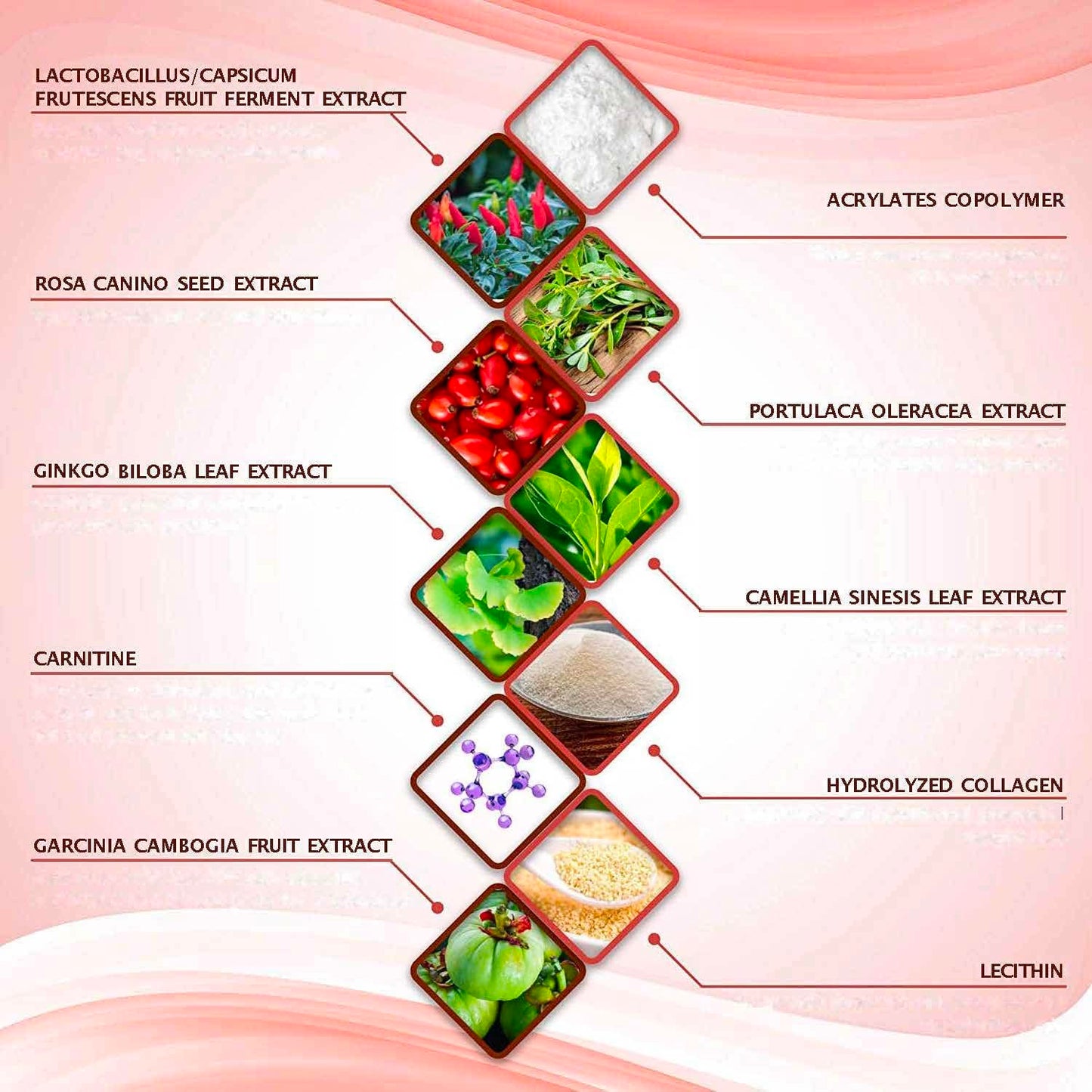 All Natural Moisturizing Body Applicator Wrap – Easy to Use Body Wrap -Anti Cellulite Solution- Firming Toning Tummy Wrap (12 Count (Pack of 1))