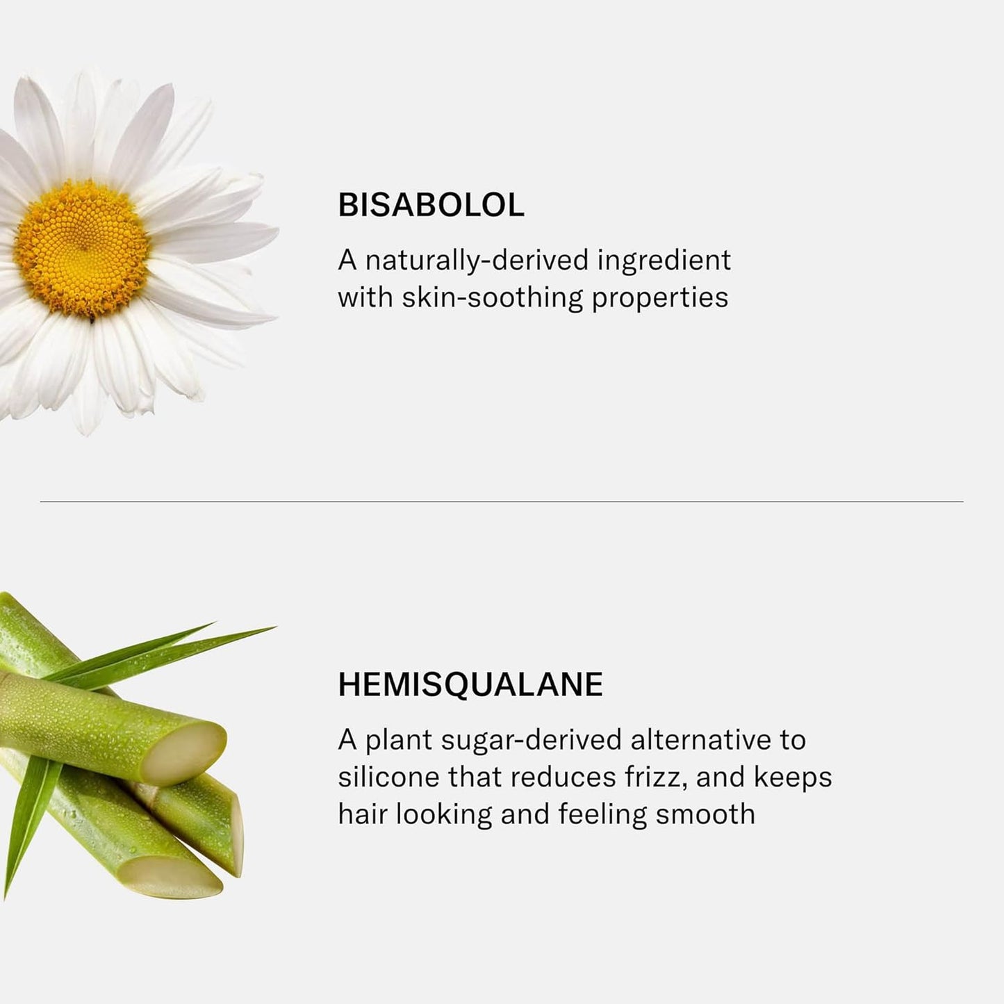 SEEN Deeper Conditioner, Fragrance Free - Non-Comedogenic & Sulfate-Free Hair Conditioner- Dermatologist-Developed - Safe for Sensitive, Eczema & Acne Prone Skin