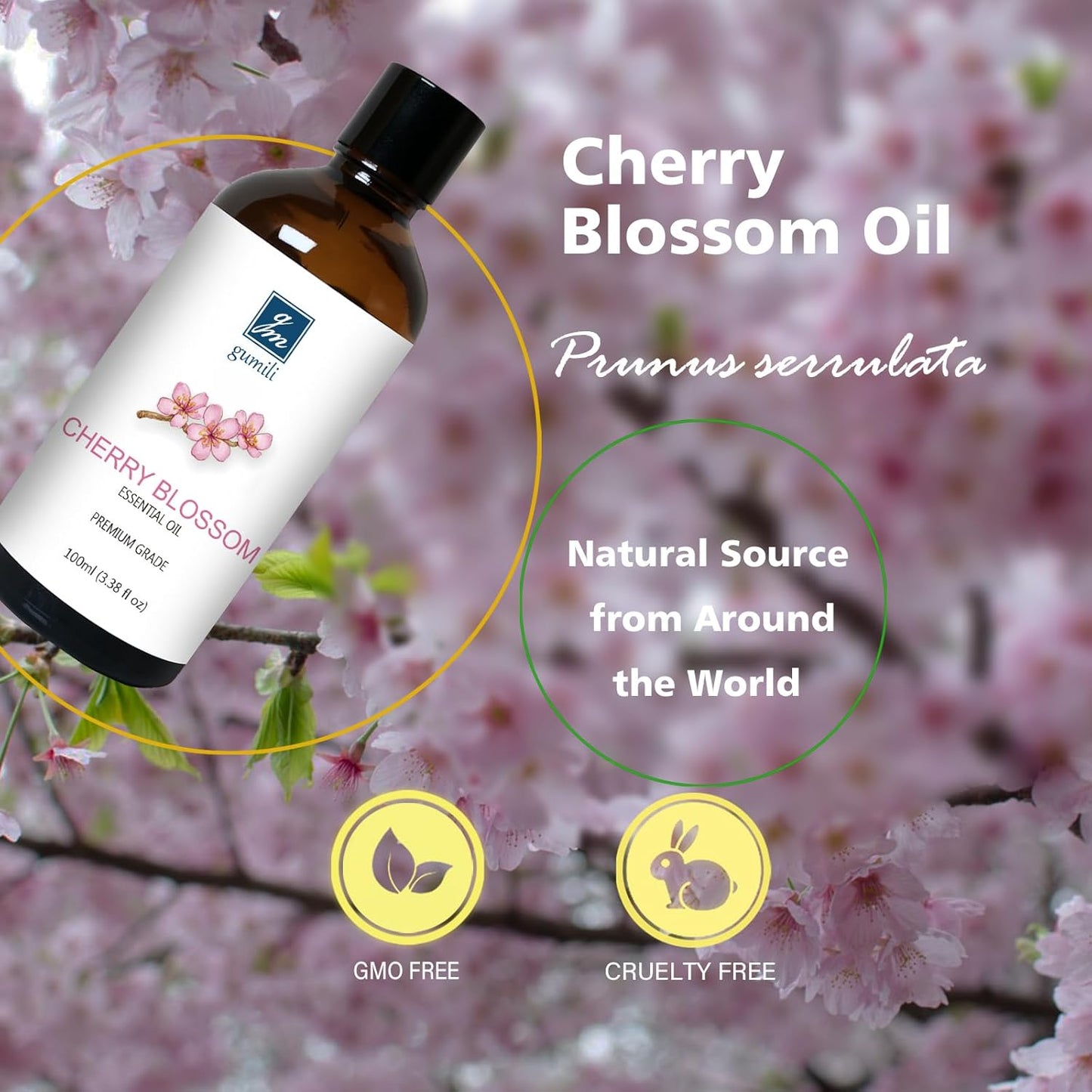 Cherry Blossom Essential Oil, Fragrance Oil for Candle Soap Making, Perfume for Women, Gift for Her - 3.38 Fl Oz 100ml