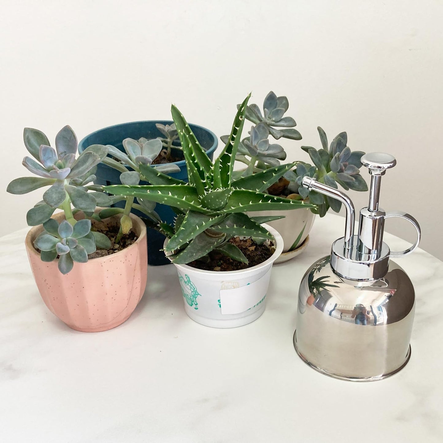 Plant Mister Spray Bottle Stainless Steel Plant Sprayer, Small Watering can Plant Spray Bottle Modern Gardening Tools for Indoor Potted Plants Watering and Spraying