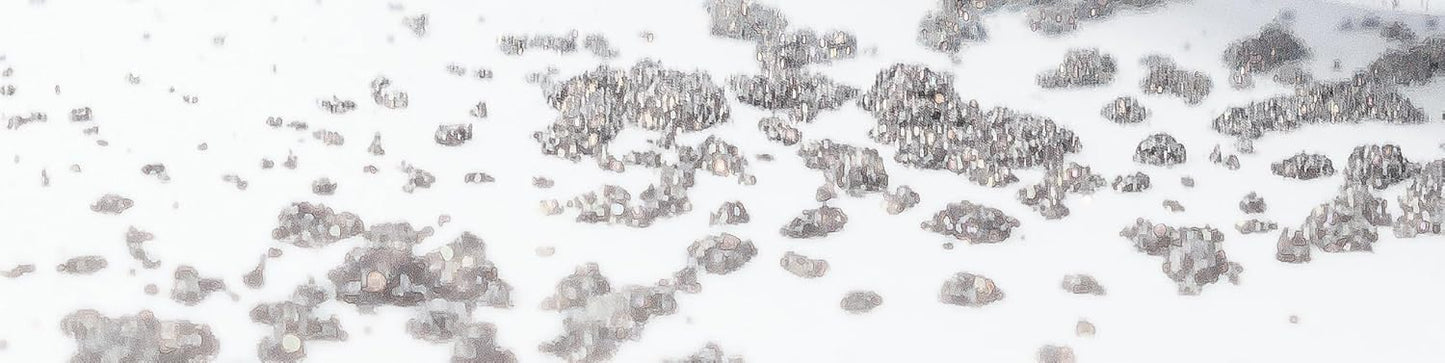 Funky Frost Silver Grey Metallic Mineral Single Loose Powder Eyeshadow, Vegan, Talc & Paraben Free, No Animal Testing & Cruelty Free