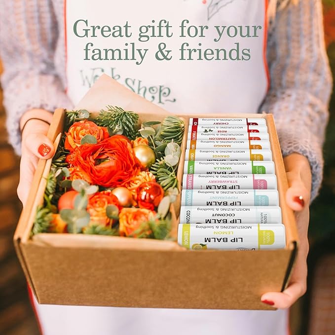 Dmsky Lip Balm Bulk, Fruit Lip Balm Variety Pack, Hydrating Lip Balm for Men Women Kids, 0.15 Oz, 360 count (Pack of 1)