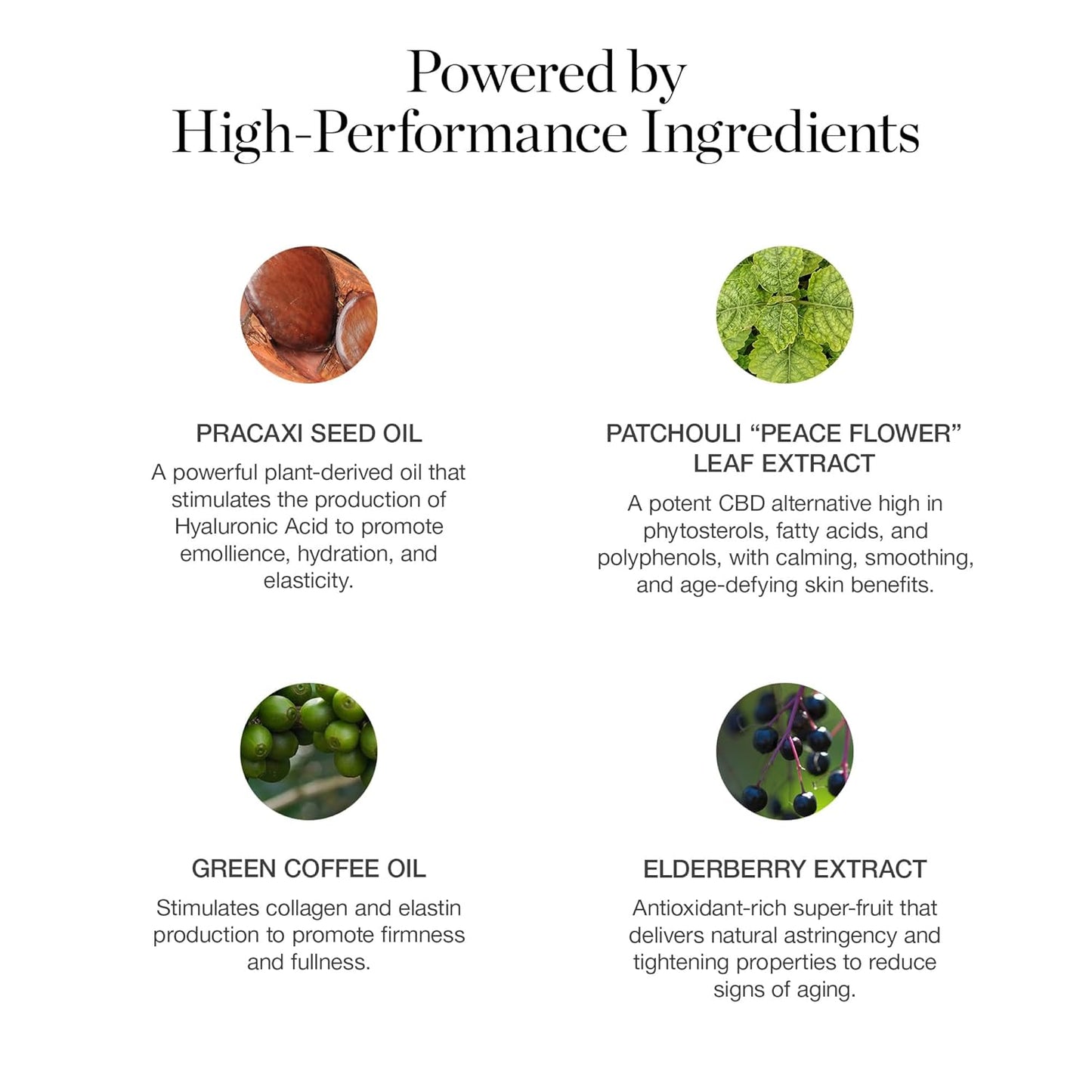 Ogee Sculpted Complexion Foundation Stick (Palmetto 2.80N - Medium Light Tan, Olive Undertones) Full Coverage Foundation Makeup - Instantly Balance & Even Complexion - 70% Organic Ingredients