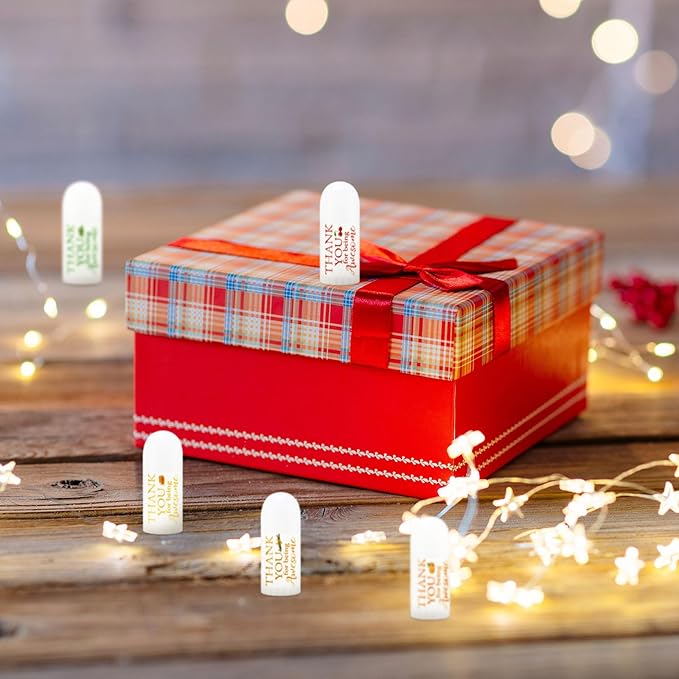 25 Pcs Mini Lip Balm Bulk 5 Assorted Flavors Thank You Lip Balm Employee Appreciation Gifts Dry Chapped Lip Care Products for Adults Coworkers Women Friend Wedding Bridal Shower Baby Shower