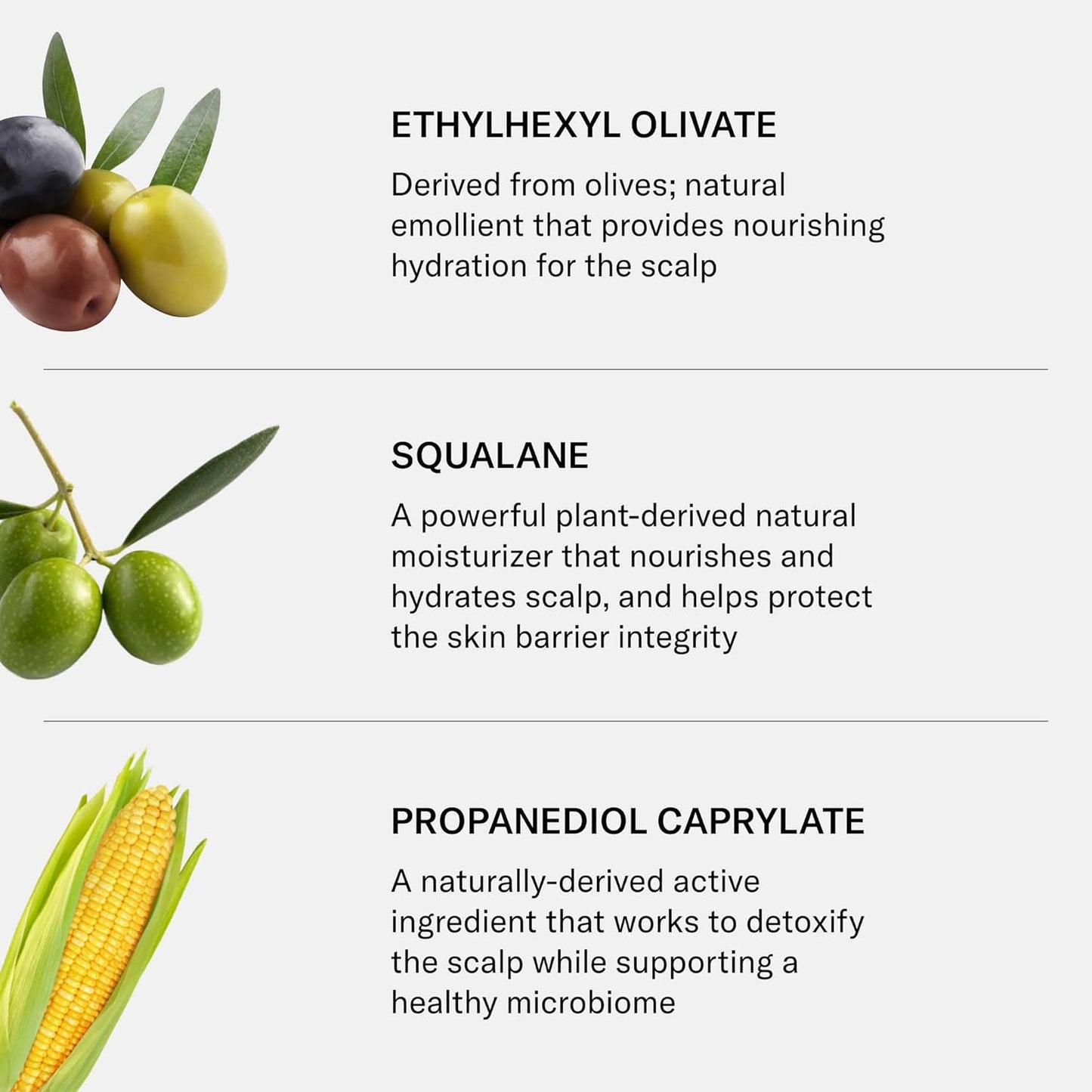 SEEN Restore Scalp Serum, Fragrance-Free - Clinically Proven, Dermatologist-Developed Hydrating Serum, Promotes Healthy Scalp, Safe for Sensitive & Eczema-Prone Skin