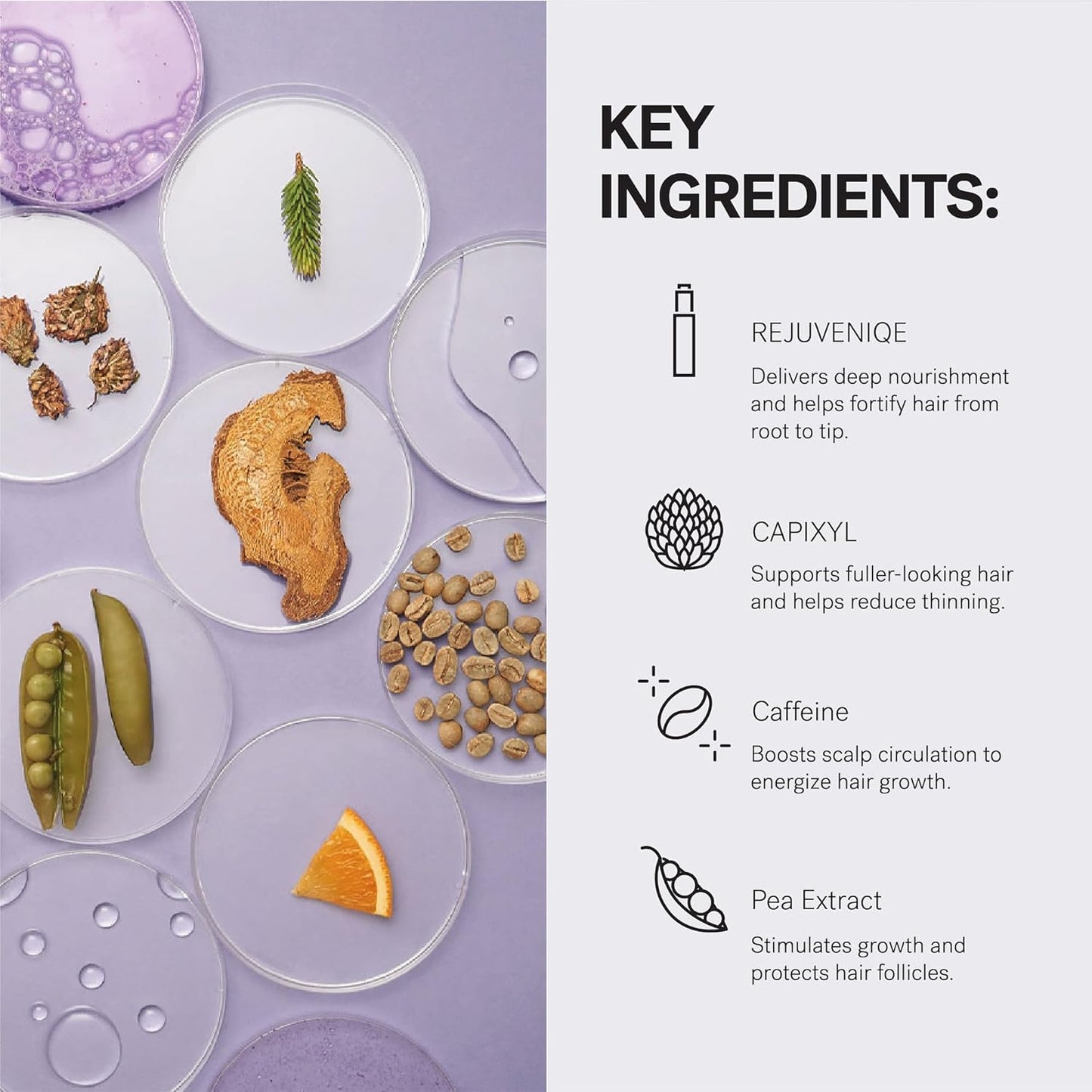 MONAT IR Clinical™ Hair Thinning Defense Scalp Serum – Nourishes Scalp, Reduces Breakage, Boosts Hair Density, and Supports Thicker, Fuller-Looking Hair with a Lightweight, Non-Greasy Formula