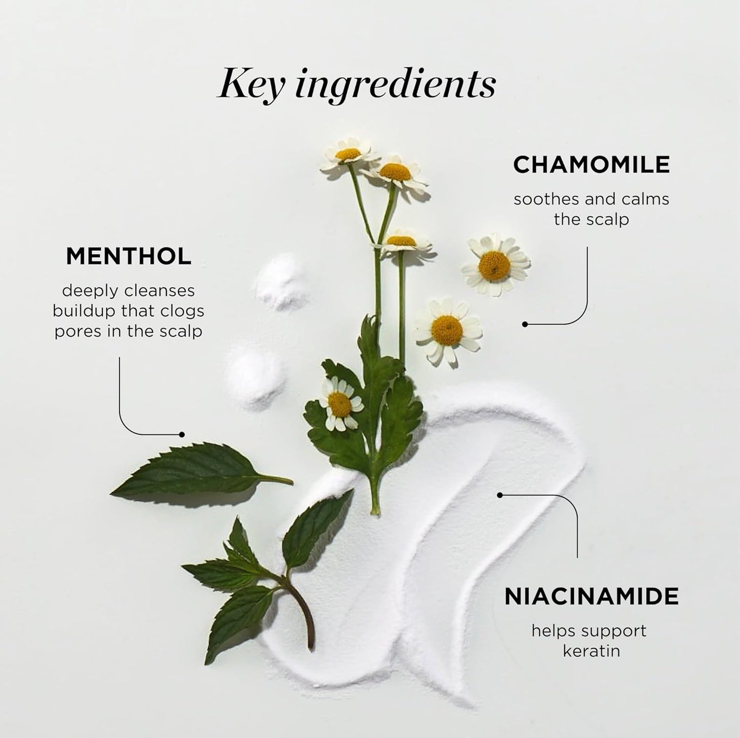 Dr. Groot Scalp Relief Tonic, Korean Hair Care with Chamomile, Niacinamide, Menthol, Rosemary Oil, Moisturizing Biotin Spray, Antioxidant Formula, for Dry Scalp, Kbeauty Scalp Revitalizing Solution