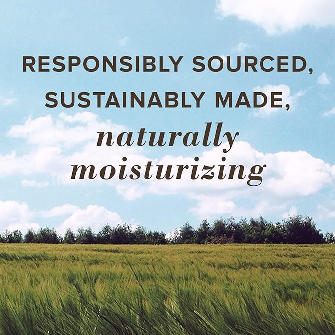 Burt's Bees Lip Balm - Mango, Lip Moisturizer With Responsibly Sourced Beeswax, Tint-Free, Natural Origin Conditioning Lip Treatment, 2 Tubes, 0.15 oz.