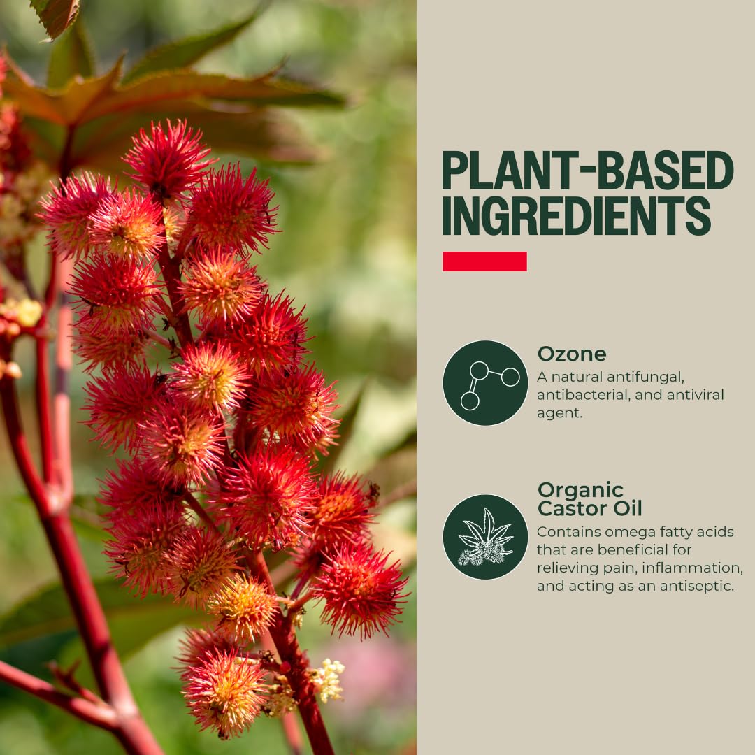 PurO3 Ozonated Castor Oil – Pure, Natural, Organic Skincare for Face & Body – Oxygenated Healing Lotion, Moisturizer & Beauty Cream in a Glass Jar – O3 Therapy Salve, 2 oz