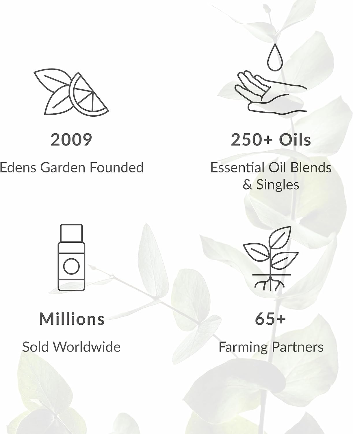 Edens Garden Melatonin Sleep Essential Oil Roll-On Blend- 100% Pure Premium Grade, Natural, Therapeutic, Aromatherapy, Skin Safe, The Best for Relaxation, Tension Pre-Diluted 10 ml (.33 fl oz)