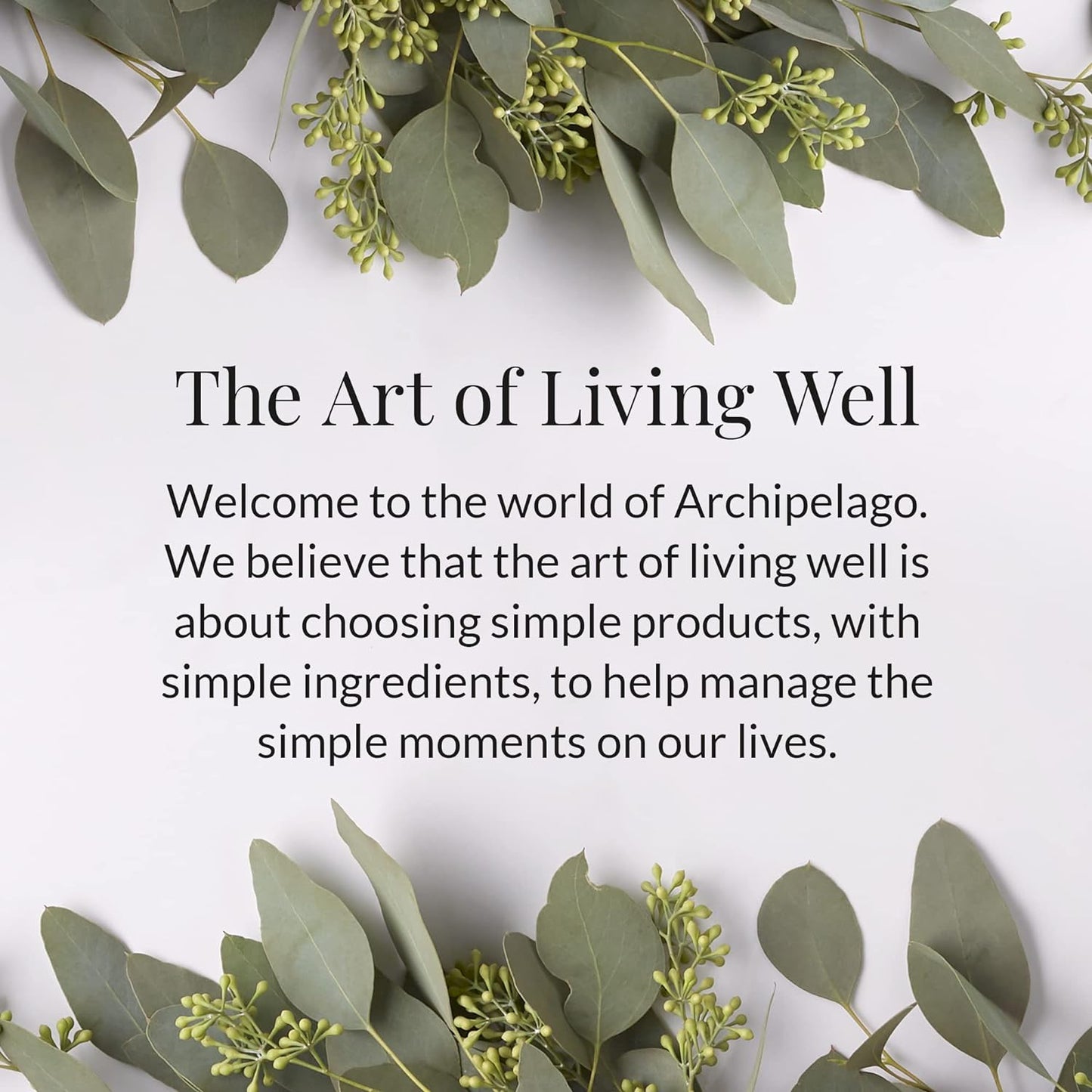 Archipelago Botanicals Lavender Lotion, Luxurious and Hydrating Lotion for Soft and Nourished Skin, Scented Body Lotion Free from Parabens, Phthalates and GMOs (18 oz)