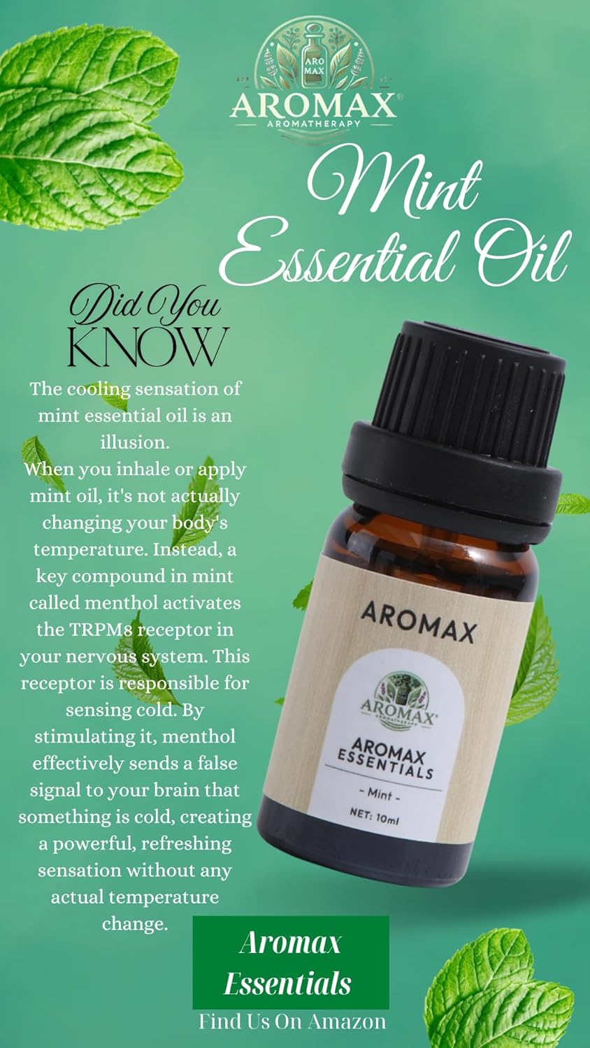 Aromax Essentials 100% Pure Essential Oils Set for Diffuser, Aromatherapy & Relaxation - Best Aromatherapy Starter Kit