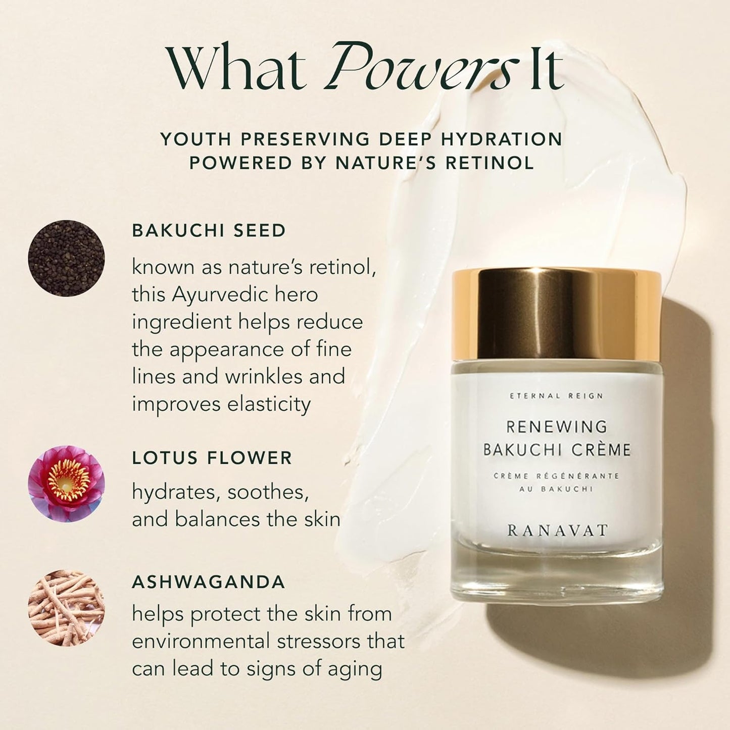 RANAVAT Renewing Bakuchi Face Cream - Daily Face Moisturizer with 12 Hour Hydration to Boost Skin Barrier Function - Softens Fine Lines + Wrinkles with Lotus Flower, Bakuchi & Ashwagandha (1.7 oz)