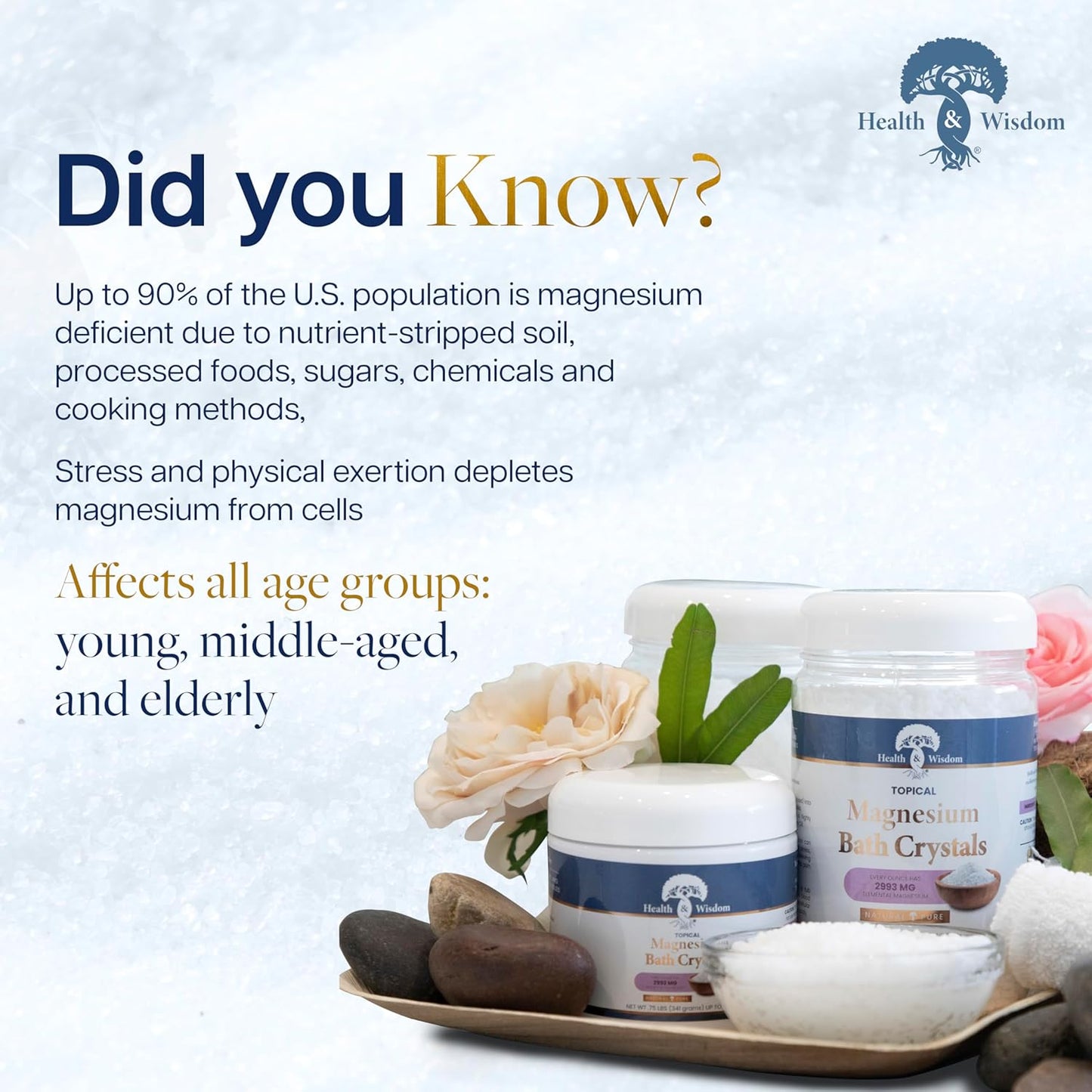 Health and Wisdom Magnesium Bath Crystals - Bath Salts with High Concentration & Enhanced Absorption for Muscle & Joint Relief - Dead Sea Sourced - Unscented - 5.5 lb Bag - Up to 45 Uses