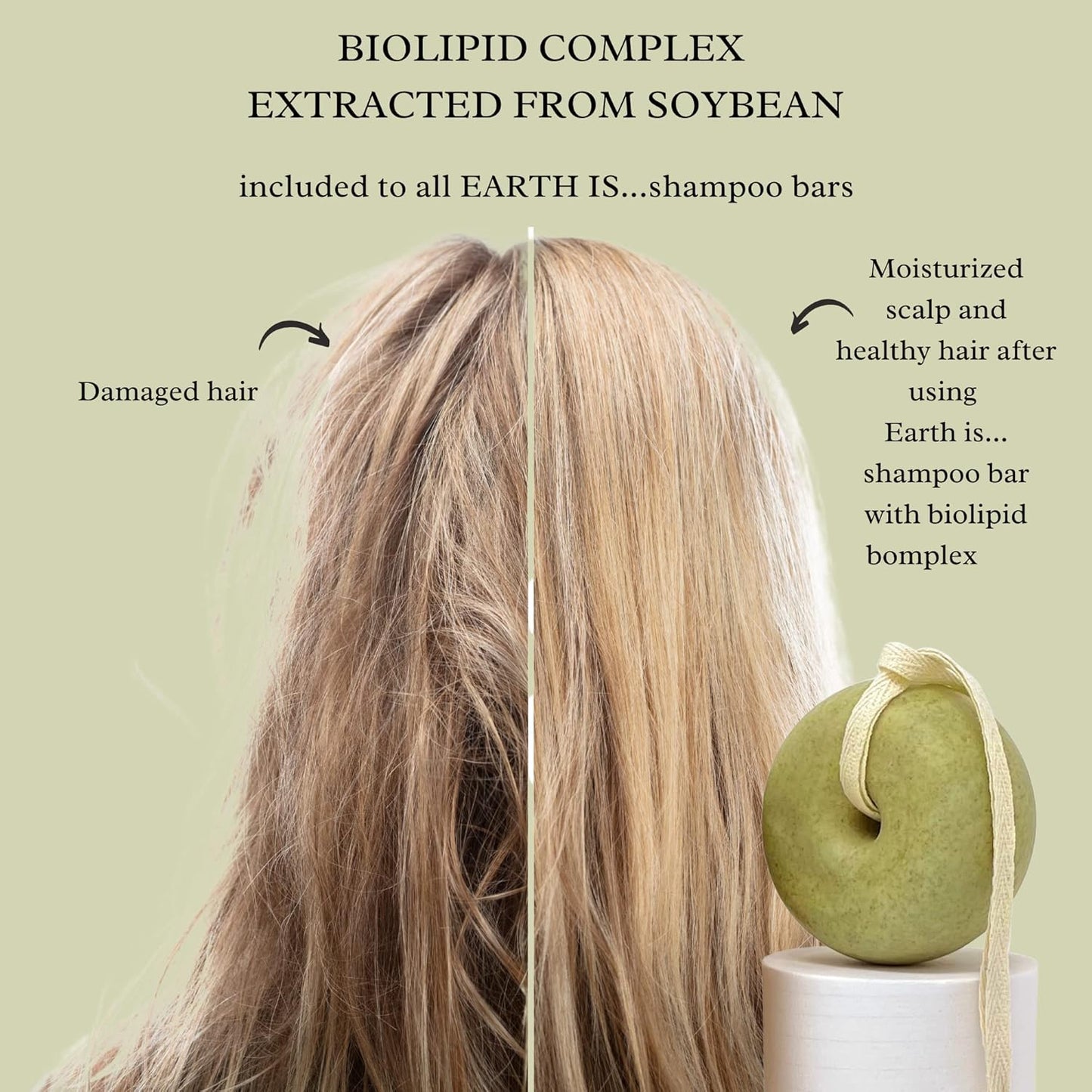 EARTH IS... Shampoo Bar - All Hair Types – Mild Natural Shampoo – Eco-Friendly – Plastic Free - PH-Balanced – Vegan – Sulfate Free – Biodegradable – Zero Waste, 3.7 oz (Herbal with Nettle Leaf)