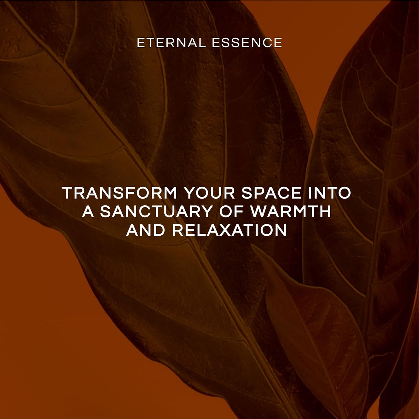 Eternal Essence Oils Guy's Night Out Set of 6 Premium Fragrance Oils - Includes Including Happy Men, Blue Sage, White Sand, Warm Rustic Woods, Musk, and White Musk Scented Oils - 10ML