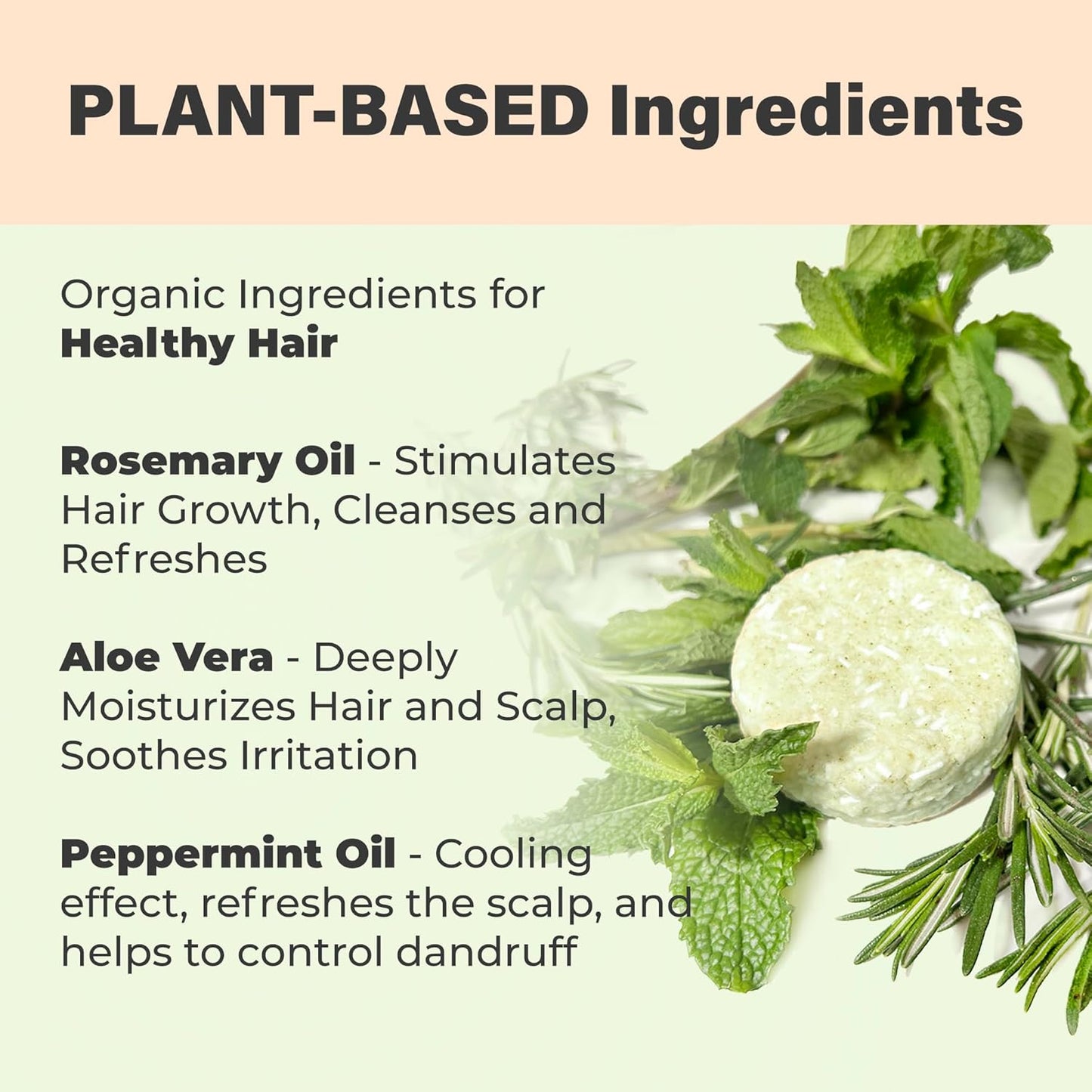 Organic Rosemary and Aloe Vera Solid SHAMPOO BAR AND CONDITIONER BAR for Hair Growth, Refreshing and Hydrating | Herbal Shampoo with Rosemary, Peppermint, Castor Oil, Argan Oil, and Betaine | USA