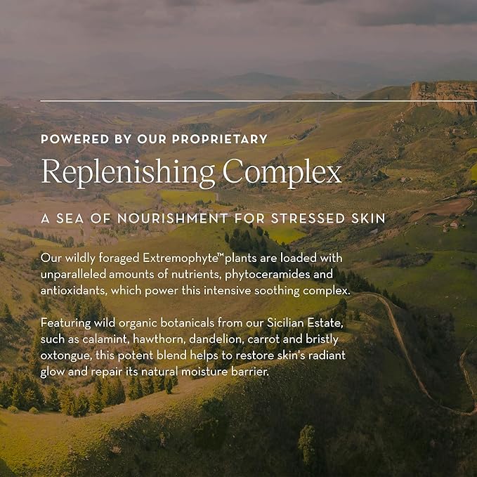 Furtuna Skin Olive Replenishing Balm - Intensive, Hydrating, Repair & Nourishment for Face, Neck, and Declotte - Organic and Vegan Ingredients, EWG Verified