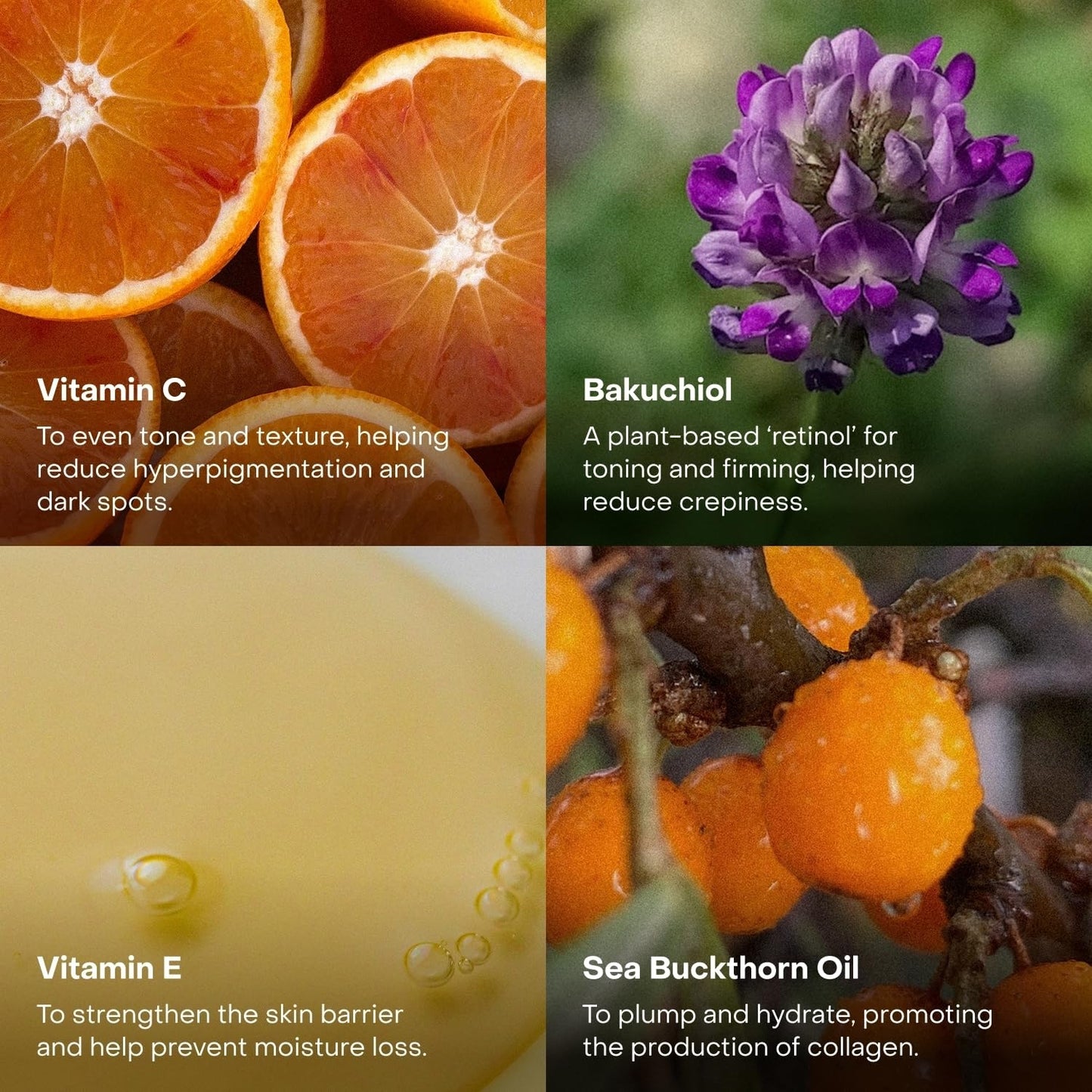 The Body Oil Spritz, Instant Absorption, Non-greasy, Vegan, Skincare Ingredients, 6.1 fl oz