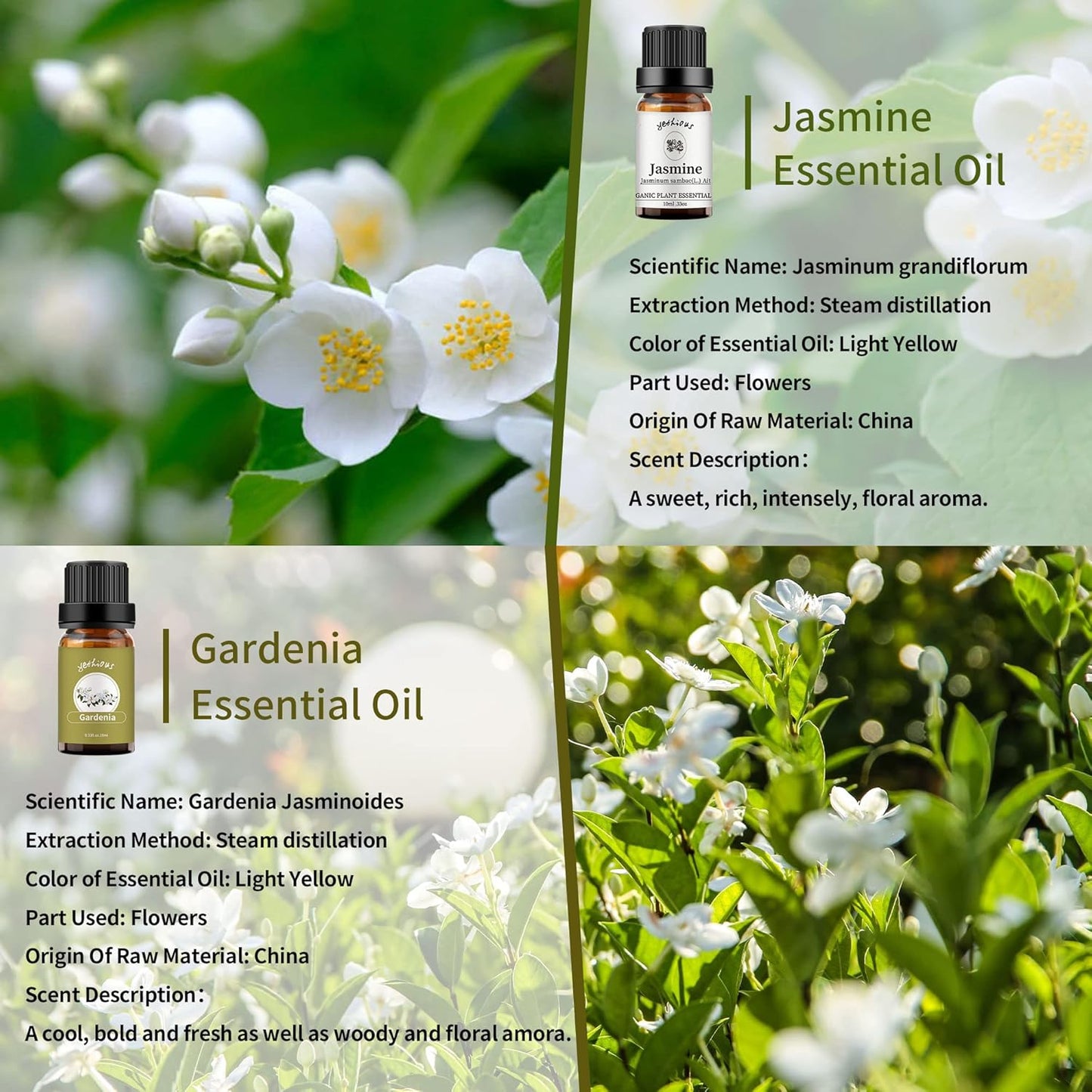 yethious Jasmine Gardenia Essential Oil Set 100% Pure Gardenia Fragance Oil Jasmine Aromatherapy Oils for Diffuser - 2 Pack 10ML