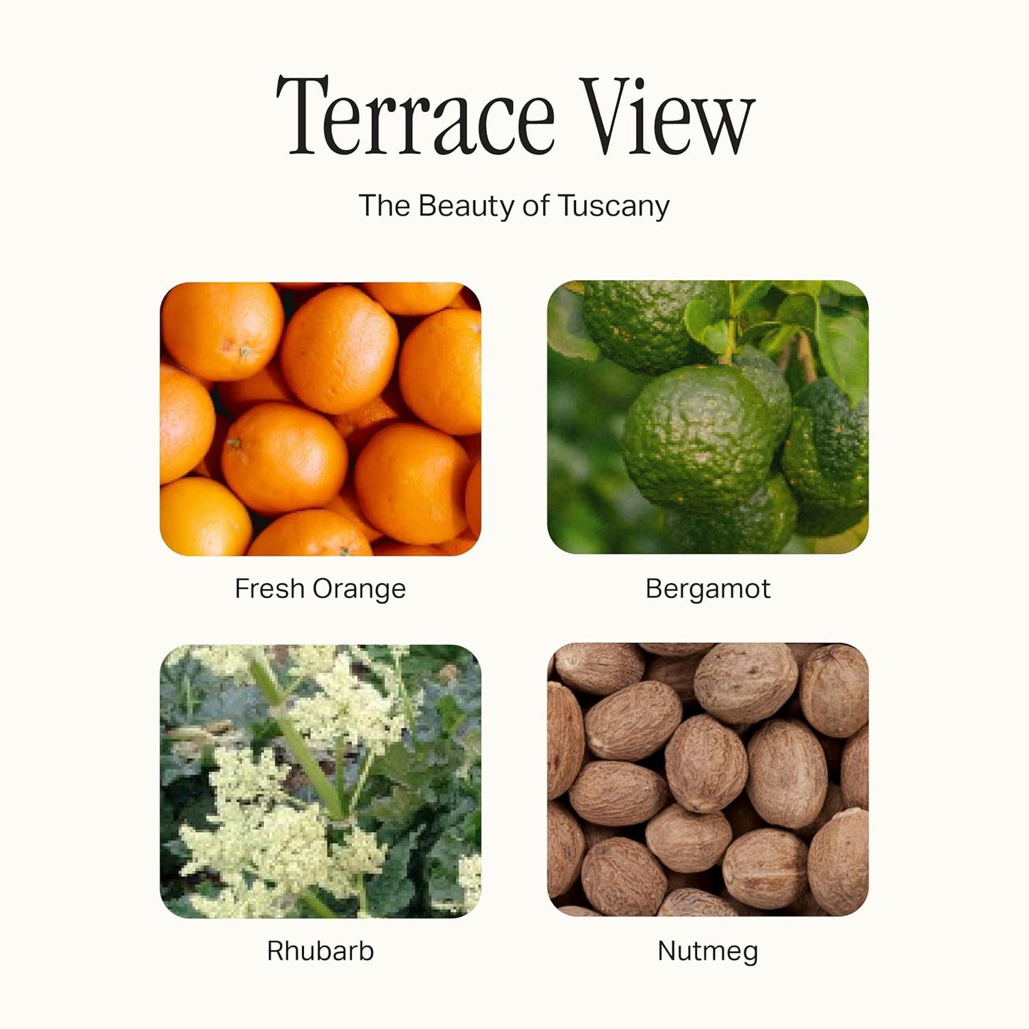 Hand Set, Scented Hand Wash & Cream Duo, Gently Cleanses, Hydrating & Nourishing