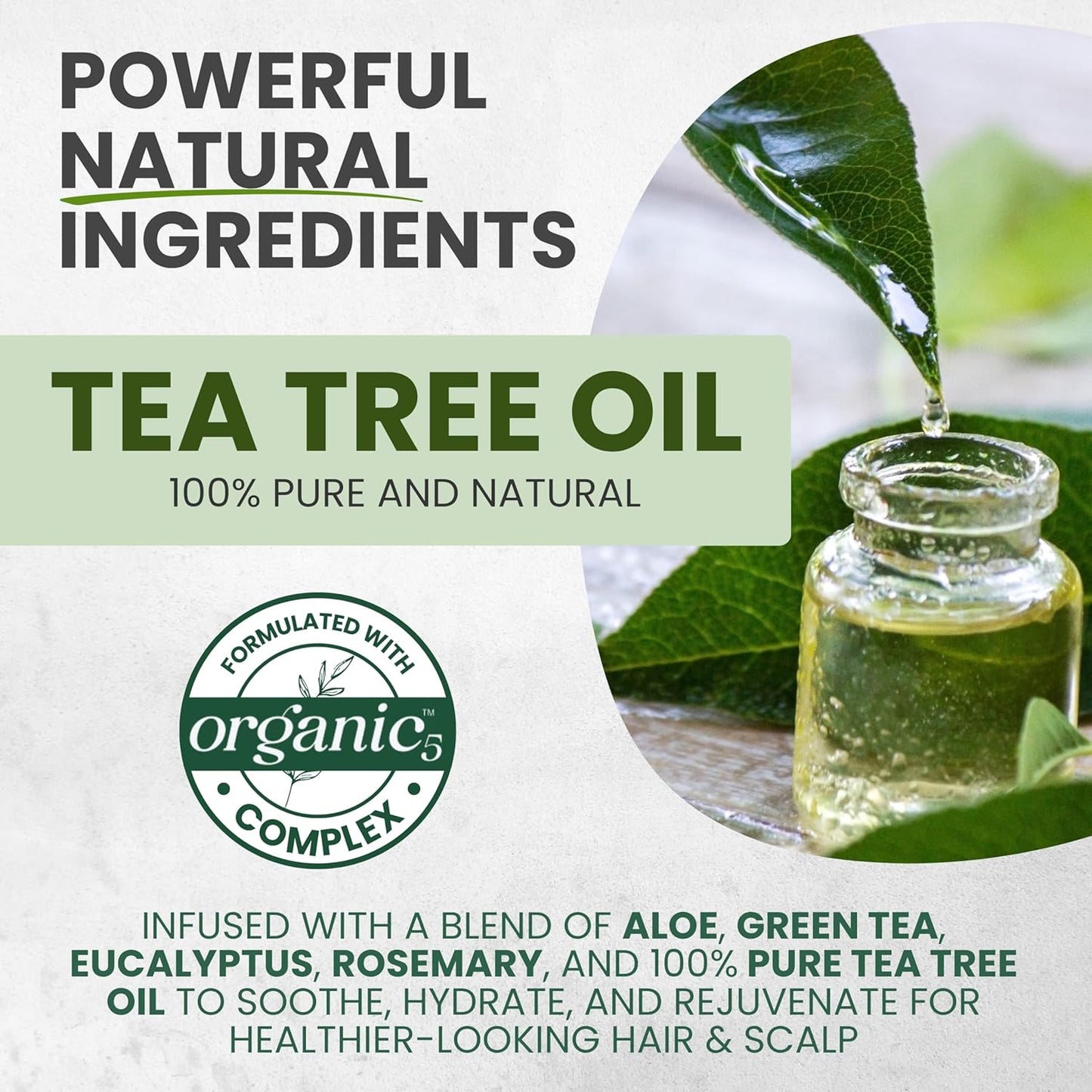 Tea Tree Oil Leave In Conditioner, Detangler Spray for Dry Damaged Hair, Frizz Control, Itchy Scalp Relief for Men & Women, Paraben & Sulfate Free.