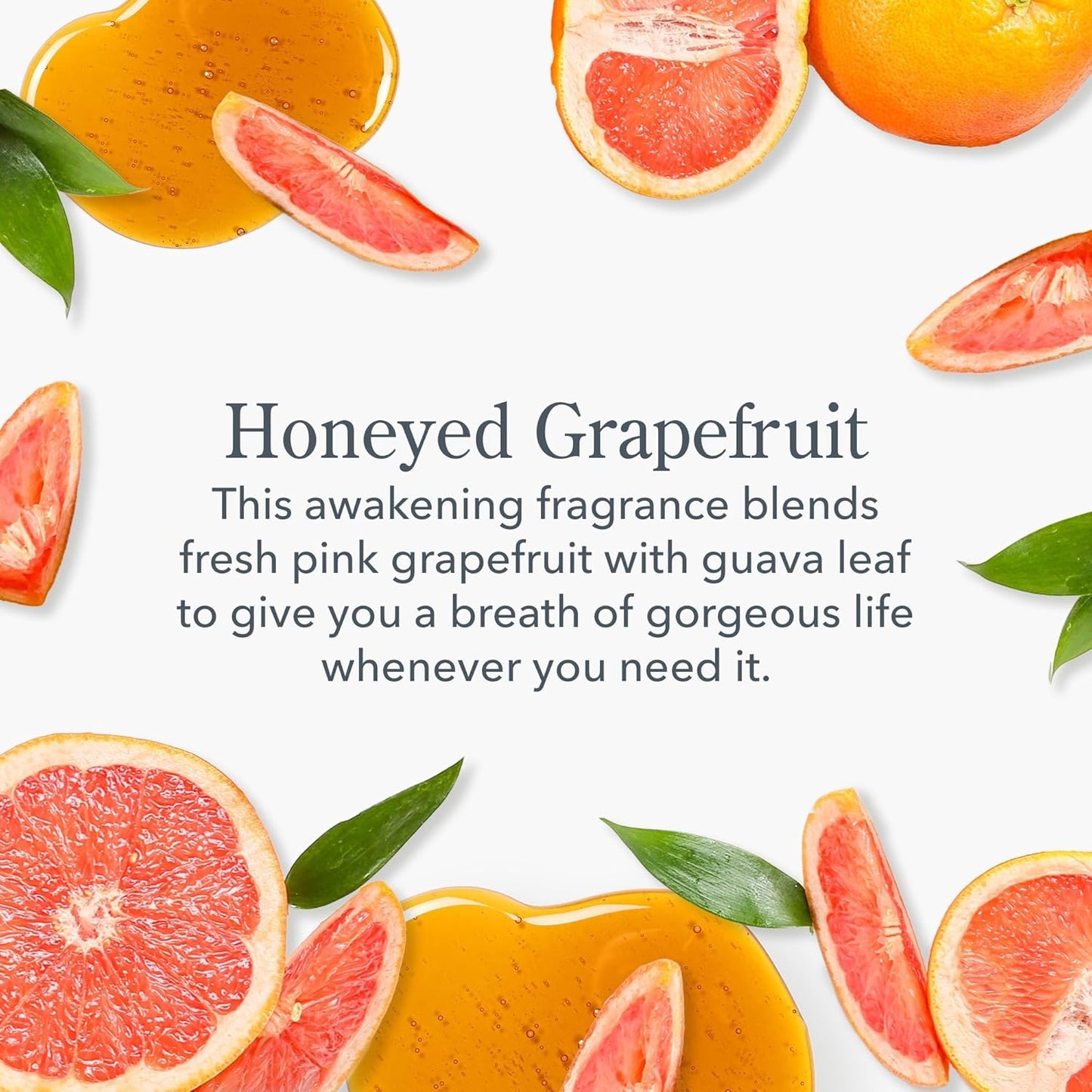 Beekman 1802 Whipped Body Cream, Honeyed Grapefruit - Scented - 8 oz - Intensely Hydrating & Softens Skin - With Goat Milk - Good for Sensitive Skin - Cruelty Free