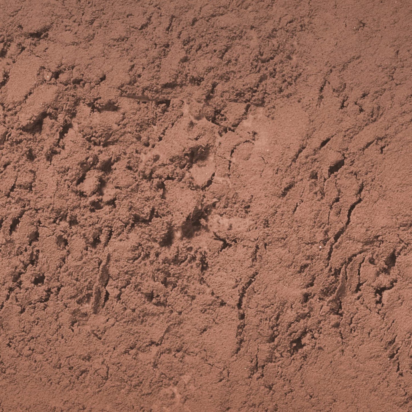 Palladio Brow Powder for Eyebrows, Soft and Natural Eyebrow Powder with Jojoba Oil & Shea Butter, Helps Enhance & Define Brows, Compact Size for Purse or Travel, Includes Applicator Brush, Dark Brown