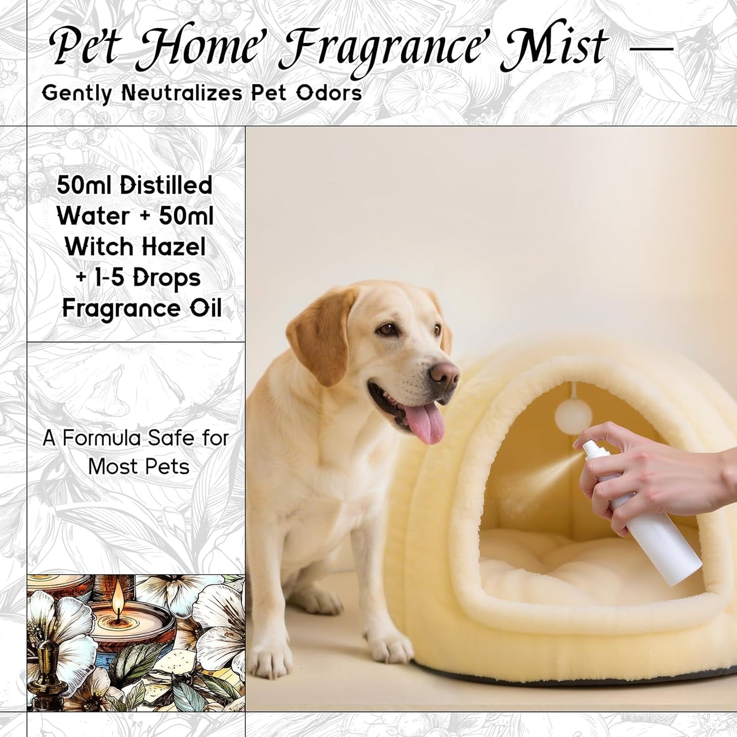 HIQILI White Musk Fragrance Oil, Candle Scents for Candle Making, Soap Making Supplies, Musk Perfume for Women, for Diffuser Use - 5.07 Fl Oz