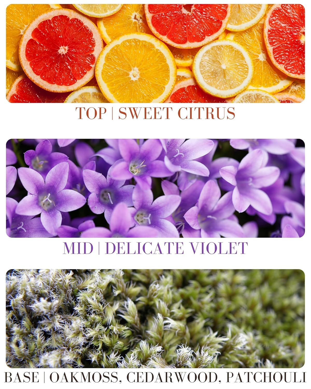 Orange Patchouli Natural Hair & Body Mist Spray, Pure Essential Oils, Alcohol-Free, Handmade in California, 0.5Fl Oz